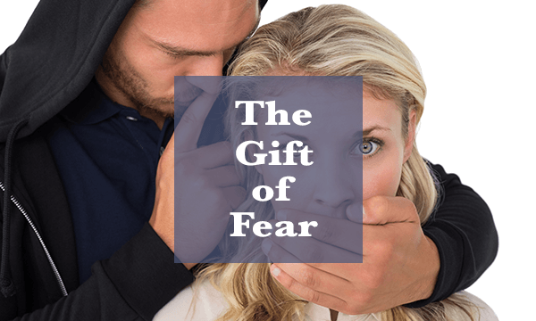 "the gift of fear" "threat management" "threat assessment" "personal safety"